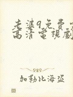 老婆9免费完整高清电视剧在线