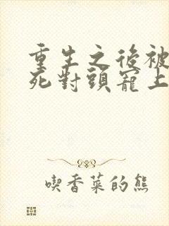 重生之后被渣男死对头宠上天封面