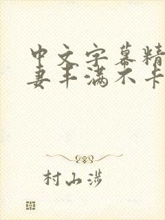 中文字幕精品人妻丰满不卡