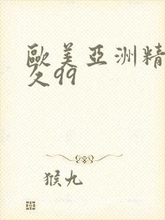 欧美亚洲精品久久99