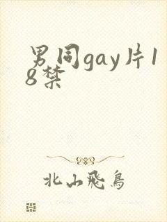 男同gay片18禁