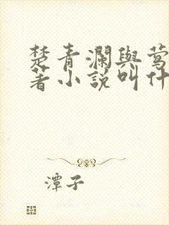 楚青澜与莺桃原著小说叫什么封面