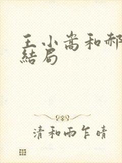 王小嵩和郝梅的结局封面