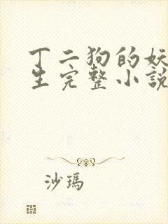 丁二狗的妖孽人生完整小说txt