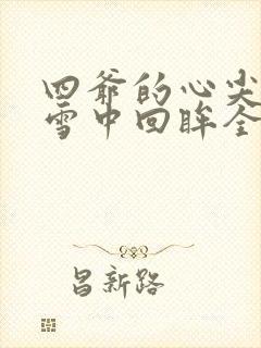 四爷的心尖宠妃雪中回眸全文在线阅读