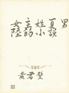 女主姓夏男主姓陆的小说