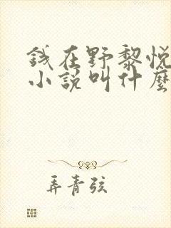 钱在野黎悦原著小说叫什么名字