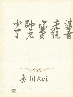 少帅你老婆又跑了免费观看完整版