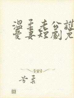 温柔老公护短又爱妻短剧免费观看封面