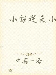 小说逆天小农民封面