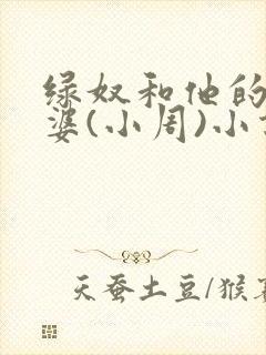绿奴和他的骚老婆(小周)小说在线看