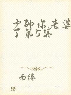 少帅你老婆又跑了第5集