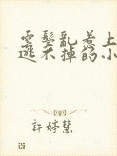 云鬓乱惹上权臣逃不掉的小说