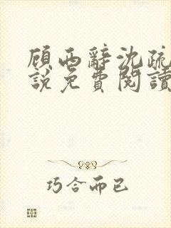 顾西辞沈疏桐小说免费阅读最新章节封面