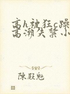 高h被狂c躁到高潮失禁小说