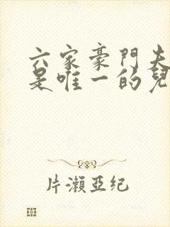 六家豪门夫人我是唯一的儿子