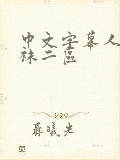 中文字幕人妻丝袜二区