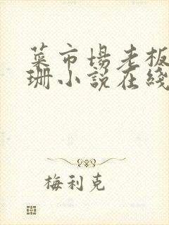 菜市场老板李芷珊小说在线阅读封面