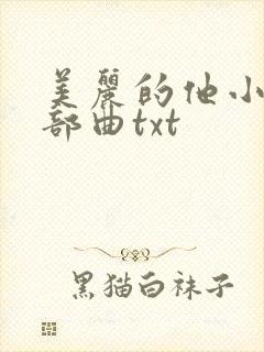 美丽的他小说三部曲txt