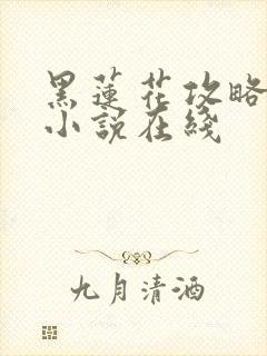 黑莲花攻略手册小说在线