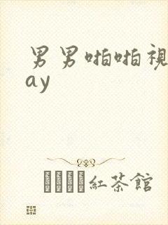 男男啪啪视频gay封面