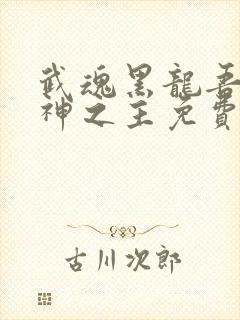 武魂黑龙吾乃众神之主免费阅读