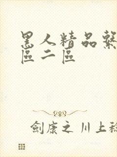 黑人精品系列一区二区