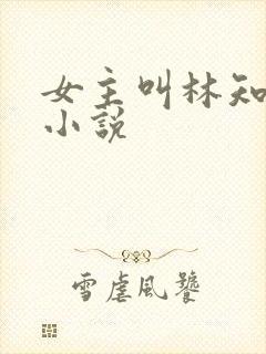 女主叫林知意的小说