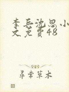 李兵沈思小说全文免费48