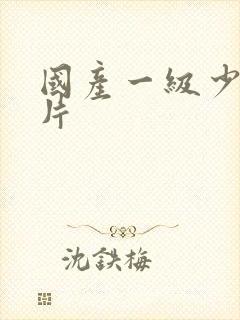 国产一级少妇淫片