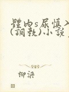 体内s尿慎入h(调教)小说免费