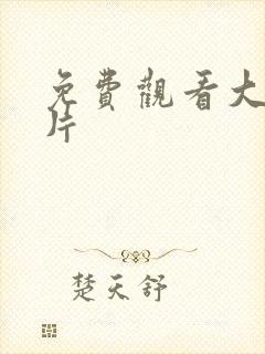 免费观看大尺度片