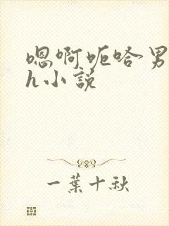 嗯啊呃哈男男高h小说