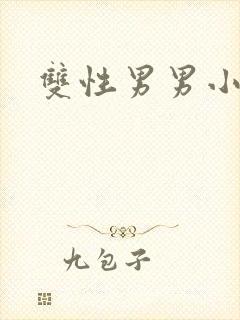 双性男男小说h封面