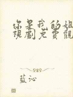 你是我的姐妹电视剧免费观看41集