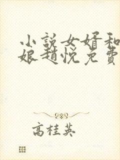 小说女婿和丈母娘赵悦免费阅读