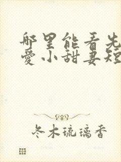 哪里能看先婚后爱小甜妻短剧