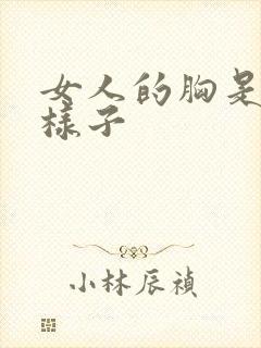 女人的胸是什么样子