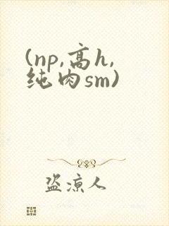 (np,高h,纯肉sm)