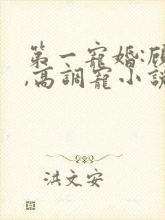 第一宠婚:顾少,高调宠小说