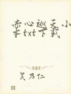 赤心巡天小说完本txt下载