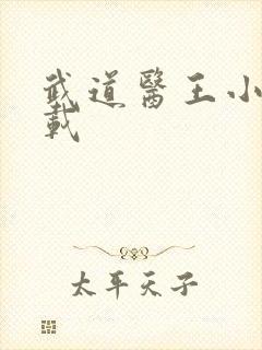 武道医王小说下载