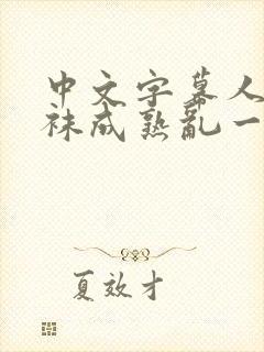 中文字幕人妻丝袜成熟乱一区三区封面