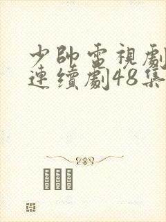 少帅电视剧免费连续剧48集