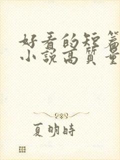 好看的短篇言情小说高质量文笔好