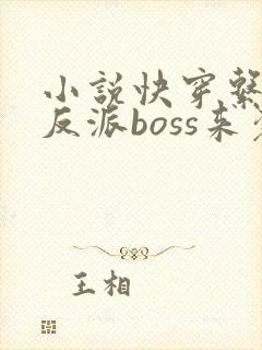 小说快穿系统之反派boss来袭
