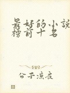 最好的小说排行榜前十名