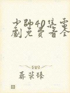 少帅40集电视剧免费看全集封面