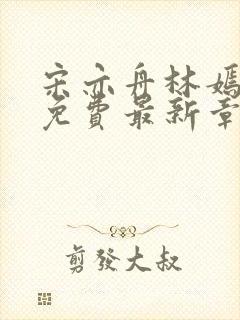 宋亦舟林嫣全文免费最新章节阅读封面