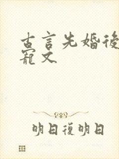 古言先婚后爱甜宠文